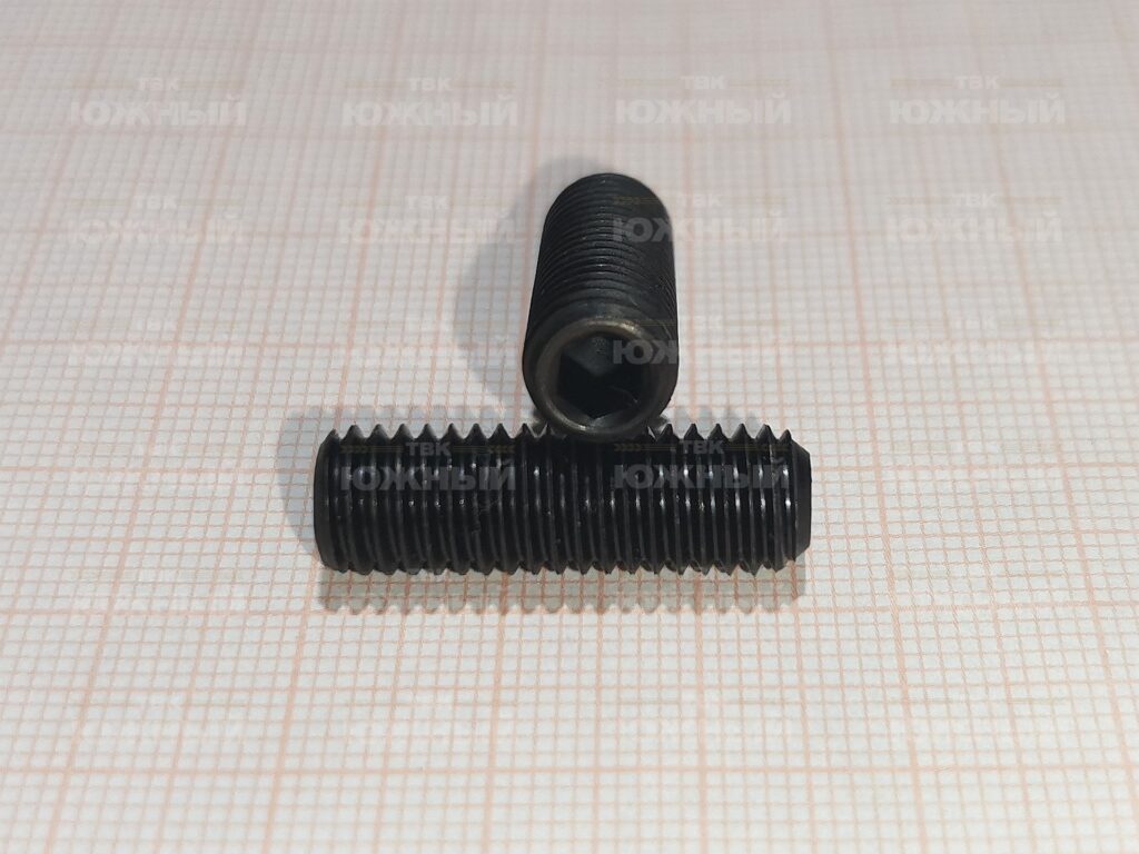 Винт Гост 28964-91(DIN916) М8х25 установ.