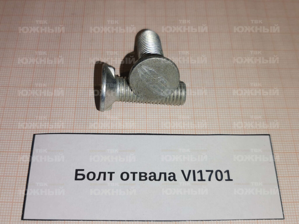 Болт отвала VI1701