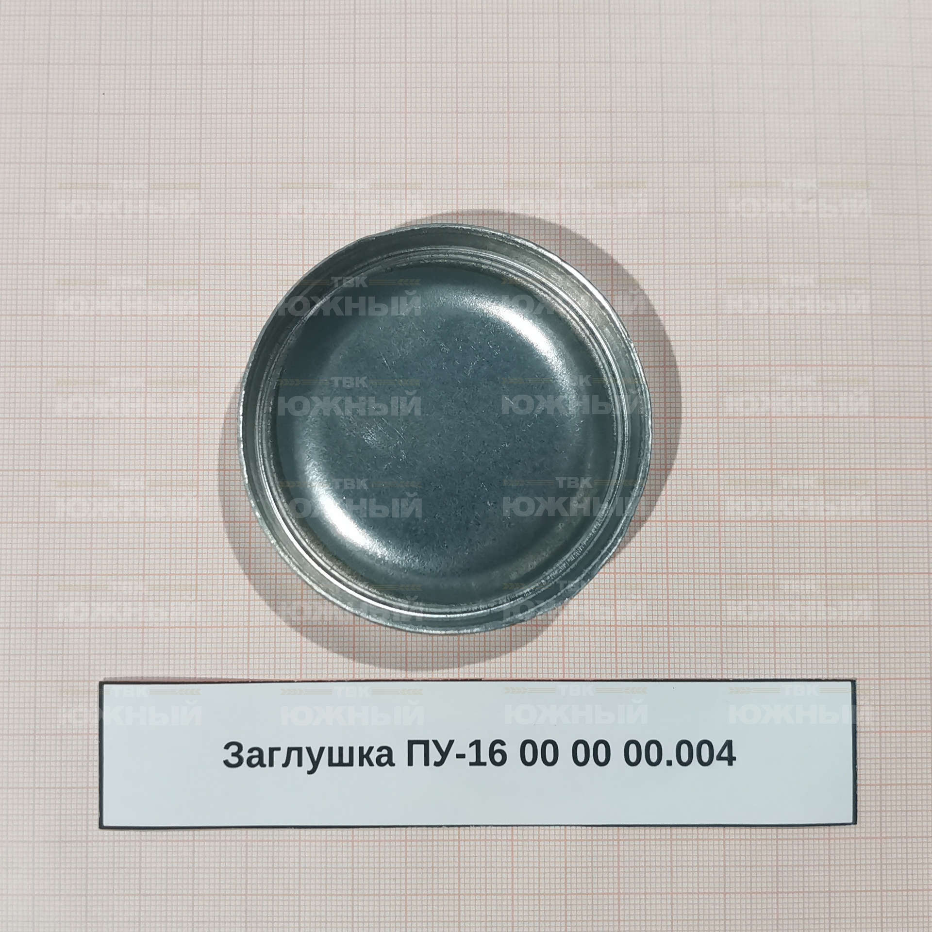 Заглушка ПУ-16 00 00 00.004 Заглушка ПУ-16 00 00 00.004