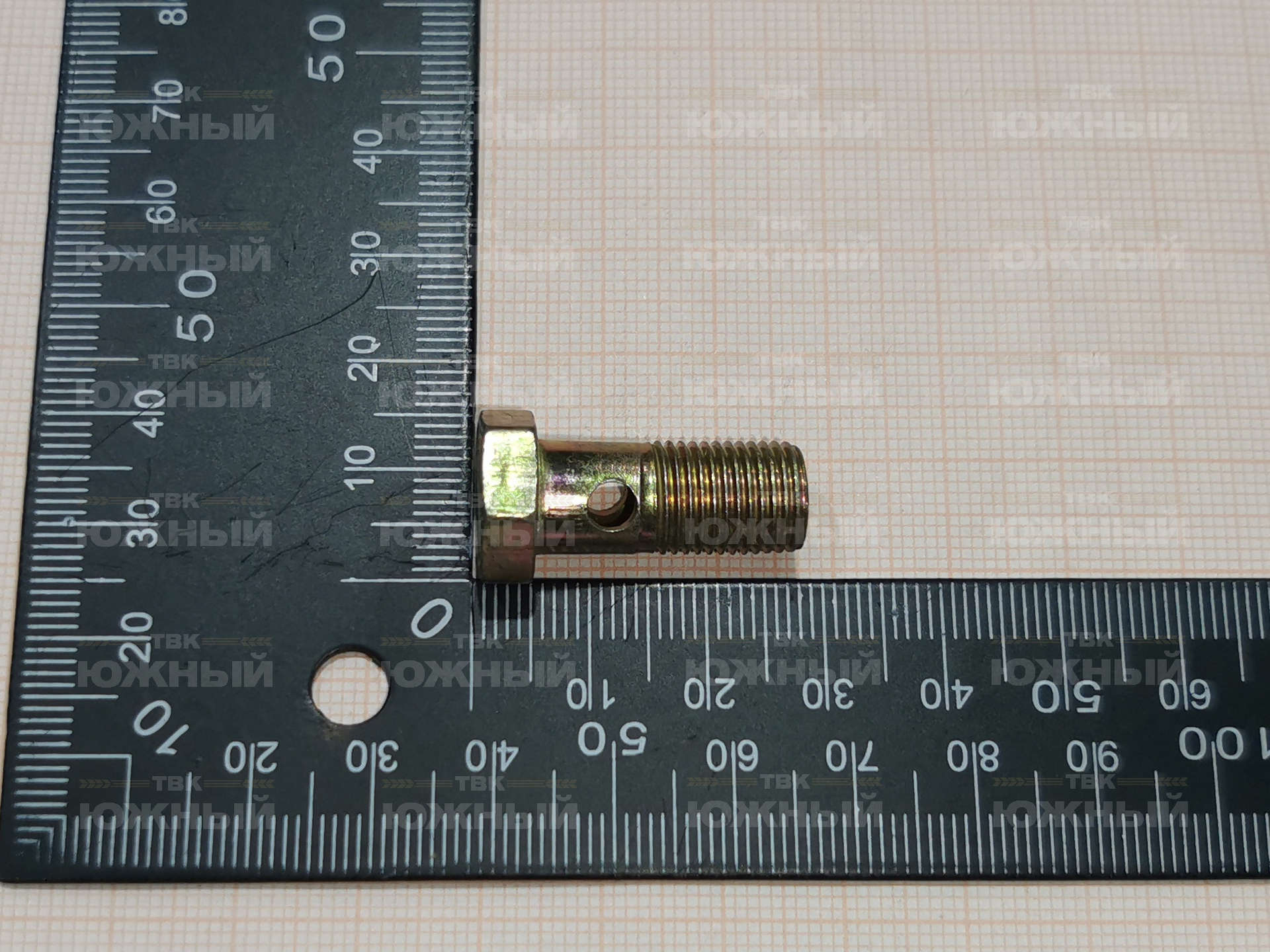 Болт М10х1х21 310122-П2 Болт М10х1х21 310122-П2